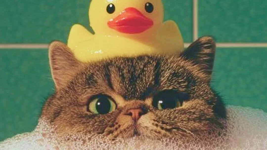 Микробизнес - кто может платить 0% налога?