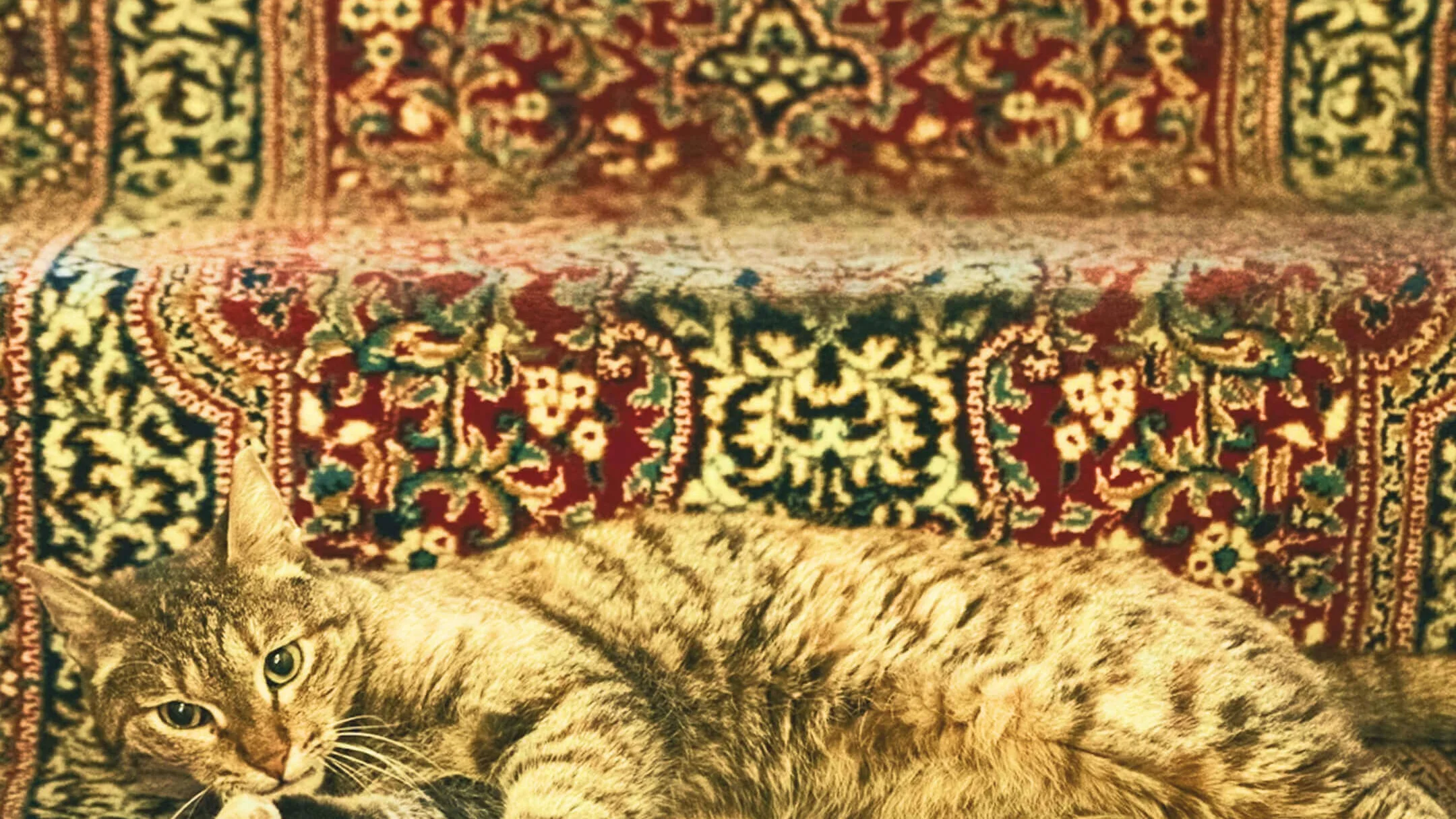 Starting an Individual Entrepreneur (IE) in Armenia